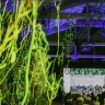 Greencajt je najveći regionalni festival održivosti
