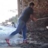 Međunarodni dan zaštite životinja je danas, 4. listopada