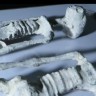 Izvanzemaljske mumije iz Perua - o čemu se tu radi?