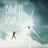 Ivica Đikić: Divlji kvas