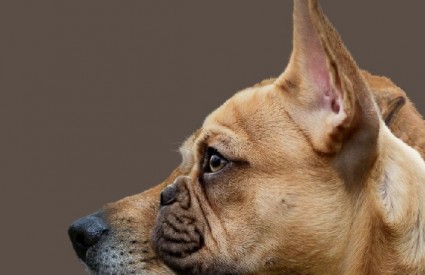 Čemu sve to? Čemu sve to?