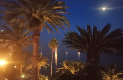 Teo Trostmann Teo Trostmann