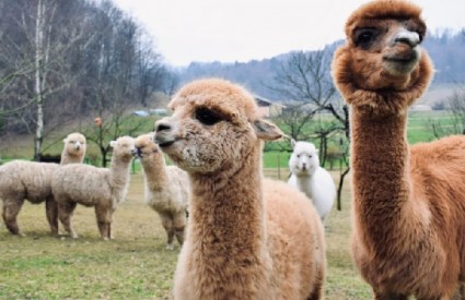 Pravi odmor u prirodi Pravi odmor u prirodi