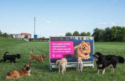 Ovo je stvarno fora! Ovo je stvarno fora!