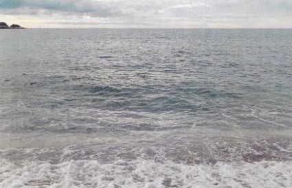 Djeca konceptualizma Djeca konceptualizma