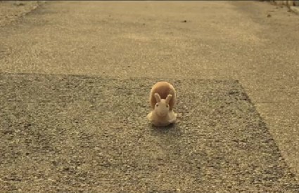 Samotni mali pužić... Samotni mali pužić...