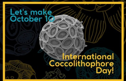 Ako vi tako kažete... Ako vi tako kažete...