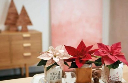 Puno mogućih varijanti, a sve su sjajne!