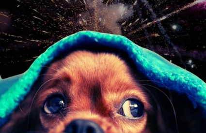 Od danas legalizirani teror nad građanima i životinjama