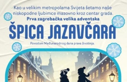 Špica Jazavčara