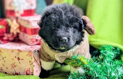 Nemojte to raditi...