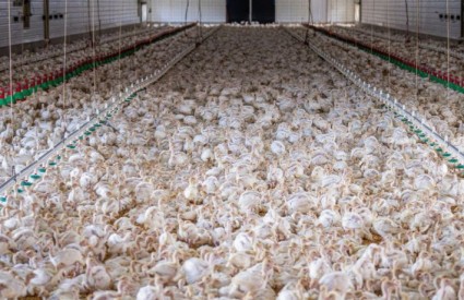 Treba im reći naglas!