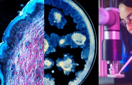 Zajedno mogu svašta