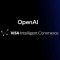 visa_openai.jpg