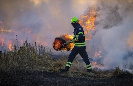Hrabra i pametna odluka