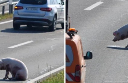 Koji debil to može napraviti?!